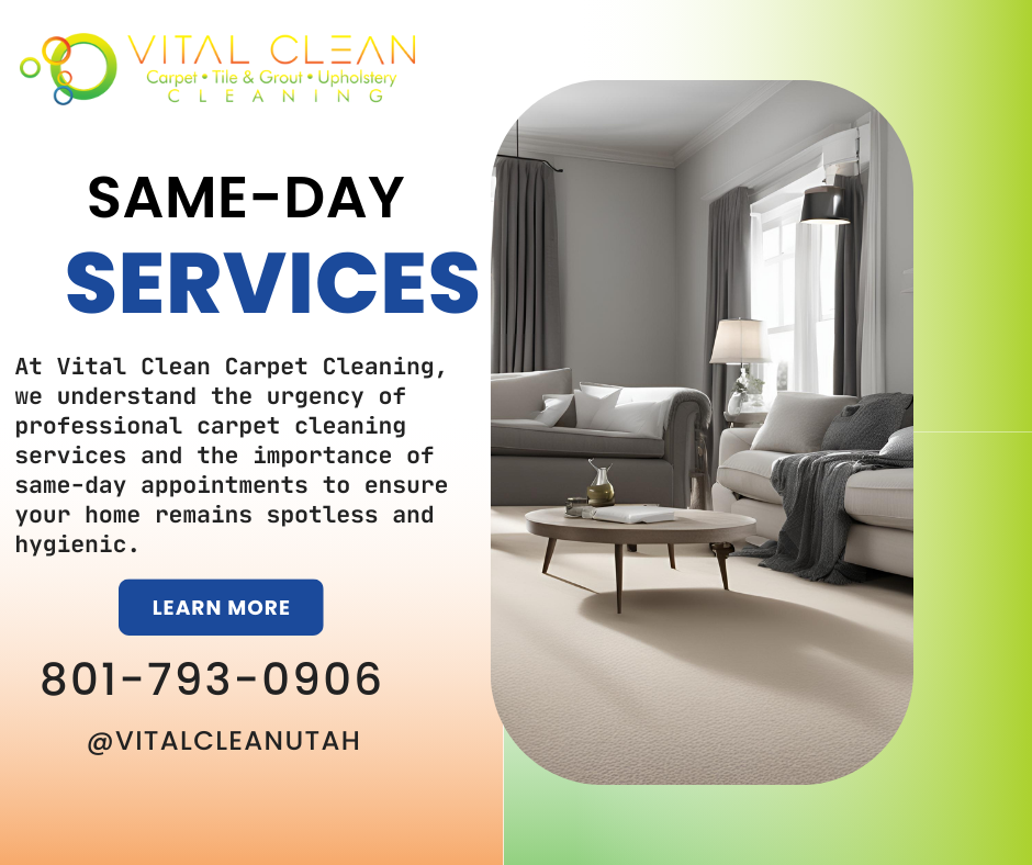 same-day-carpet-cleaning-appointments